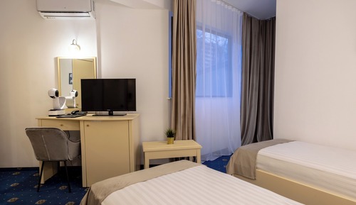 Business Twin Room