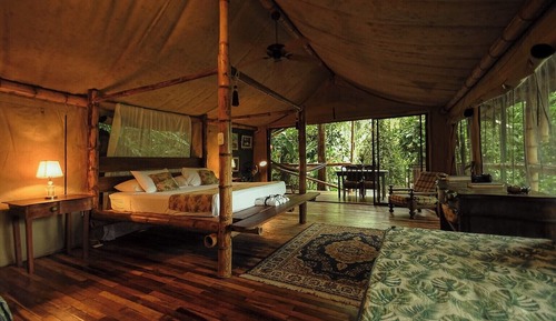 Luxury Tree House, Private Pool, Hill View