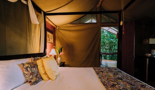 Design Tree House, Hill View
