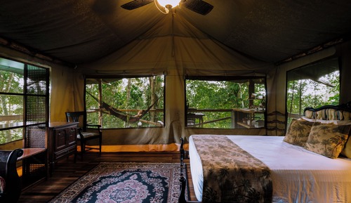 Deluxe Tree House, Hill View