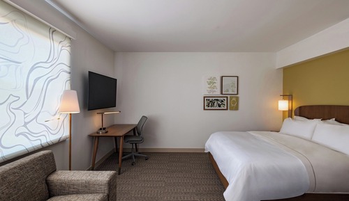 Studio, 1 King Bed with Sofa bed