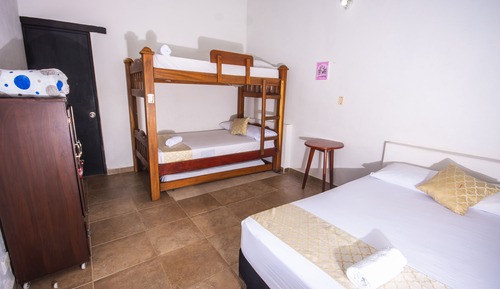 Superior Room, Multiple Beds