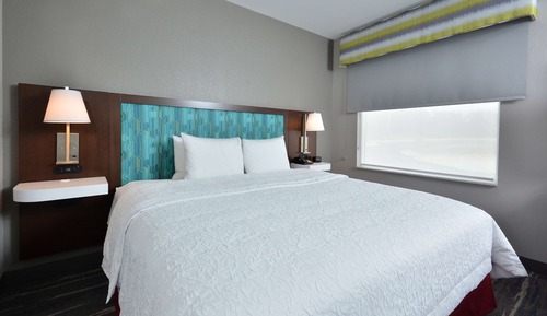 Room, 1 King Bed, Accessible (Roll-In Shower)