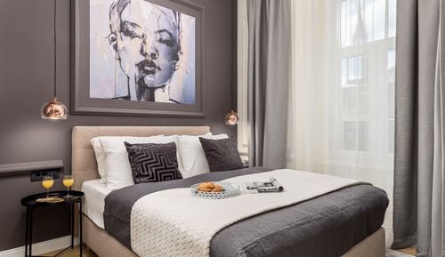 Luxury Apartment