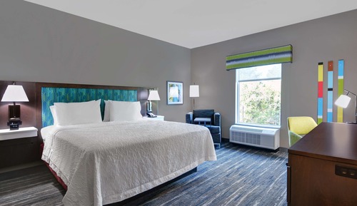 Room, 1 King Bed, Accessible