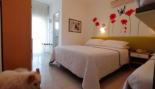 Comfort Quadruple Room