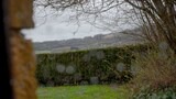 Double Room, Garden View