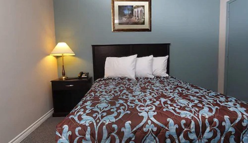 Room, 1 Queen Bed