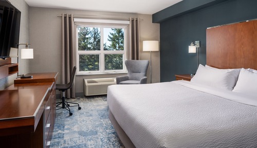 Room, 1 King Bed