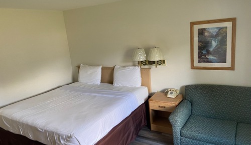 Room, 1 King Bed with Sofa bed