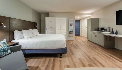 Room, 1 King Bed, Accessible, Bathtub (Mobility & Hearing)