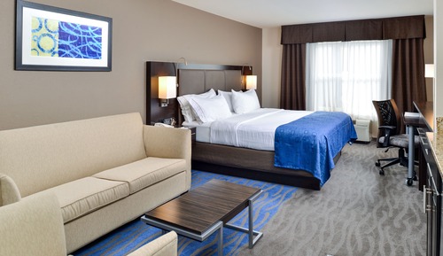 Suite, 1 King Bed with Sofa bed
