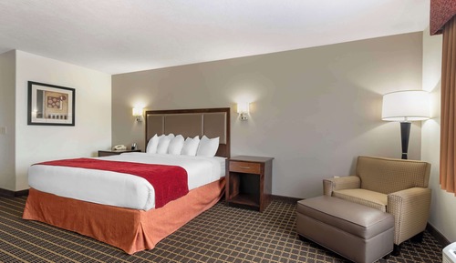 Standard Room, 1 King Bed, Accessible, Refrigerator & Microwave