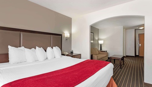 Suite, 1 King Bed, Non Smoking, Refrigerator & Microwave (with Sofabed)