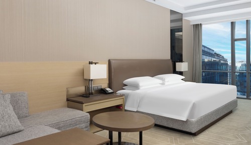 Suite, 1 King Bed with Sofa bed
