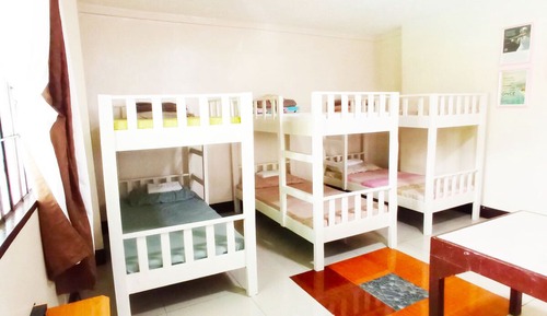 Bunk Bed for 10