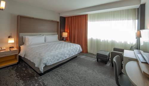 Standard Room, 1 King Bed, Accessible