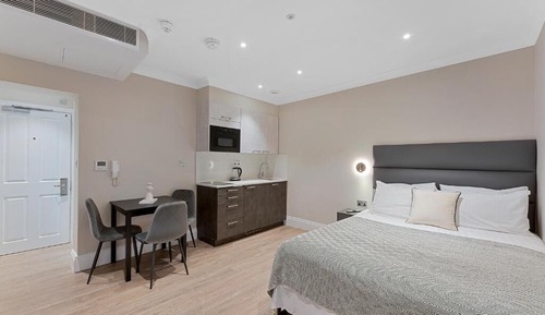 Superior Studio, 1 King Bed (Lower Ground)