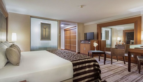 Standard Room, 1 King Bed, Mountain View