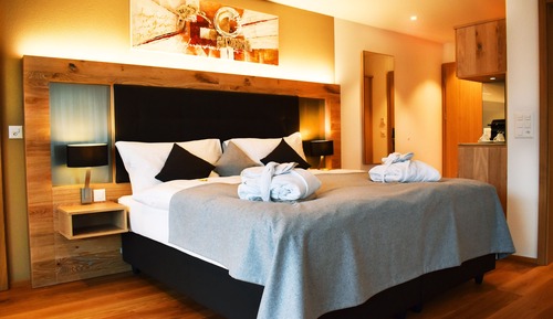 Superior Double Room, 1 King Bed with Sofa bed