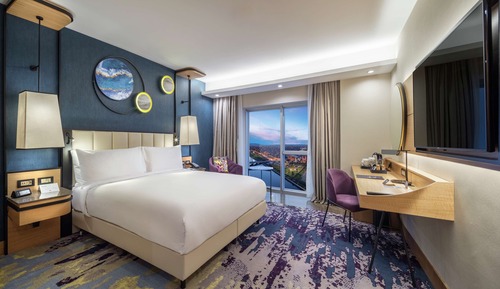 Room, 1 King Bed