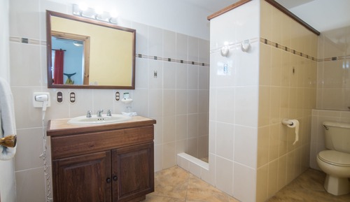 Classic Double Room, 1 King Bed, Non Smoking, Garden View