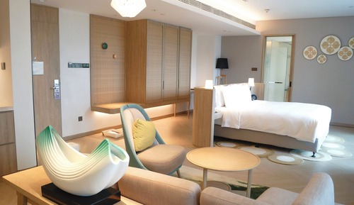 Suite, 1 King Bed, Mountain View (Living Area)
