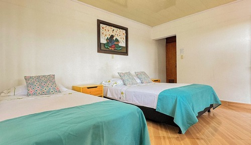 Basic Triple Room