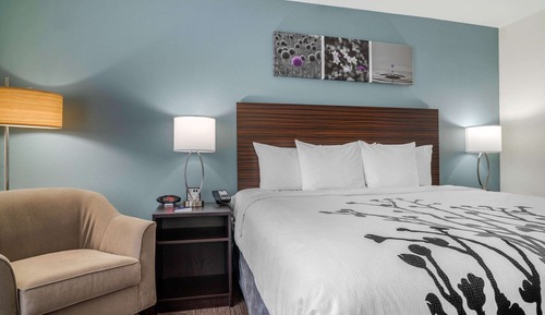 Suite, 1 King Bed, Non Smoking