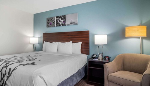 Room, 1 King Bed, Accessible, Non Smoking