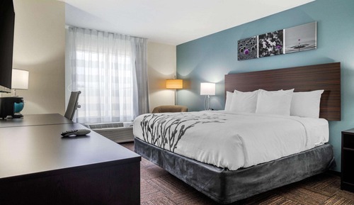 Standard Room, 1 King Bed, Non Smoking