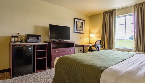 Room, 1 King Bed, Accessible, Non Smoking