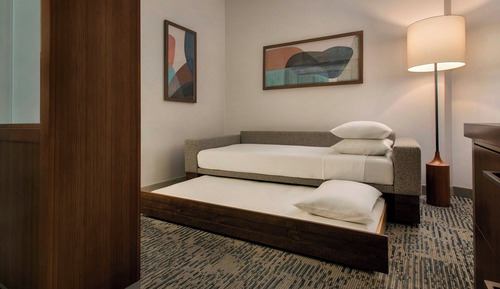 Suite, 1 King Bed with Sofa bed (Mobility Accessible, Roll-in Shower)