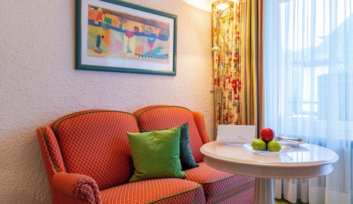 Comfort Single Room, Balcony, Garden View