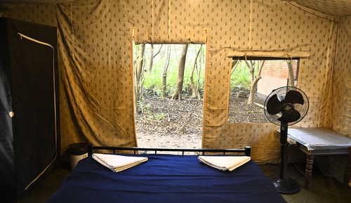 Tent, River View
