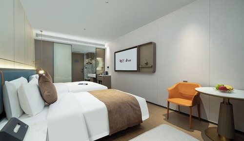 Basic Twin Room