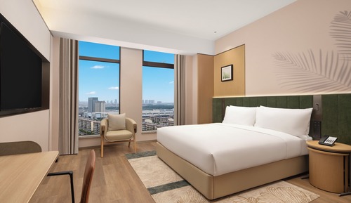 Room, 1 King Bed