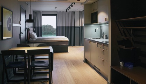 Room, Multiple Beds, Non Smoking (Efficiency King)