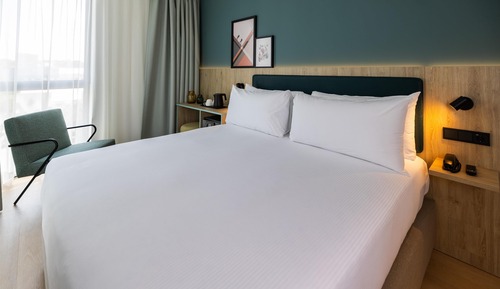 Room, 1 King Bed