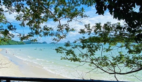 Tree House, Ocean View