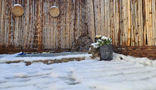 Comfort Cabin, Patio, Mountain View