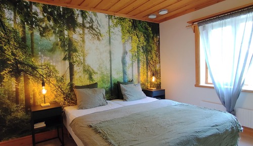 Basic Double Room
