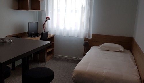 Studio, 1 Twin Bed
