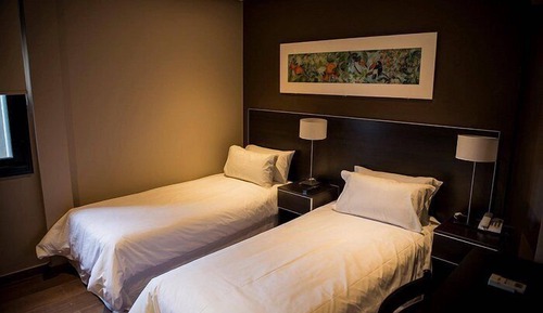 Basic Twin Room