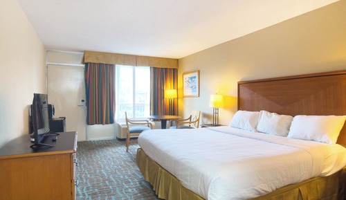 Room, 1 Queen Bed