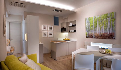 Deluxe Apartment
