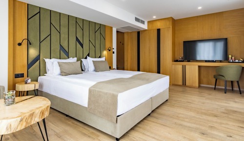 Classic Double Room, Balcony, Park View