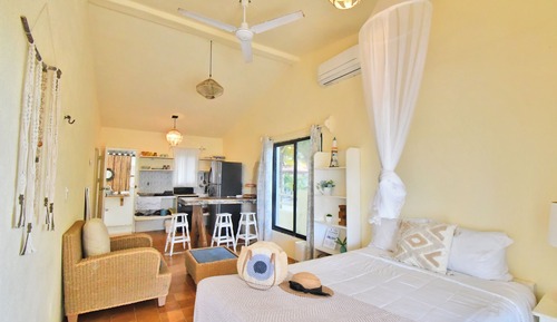 Standard Studio, 1 Queen Bed with Sofa bed, Kitchen, Beachfront