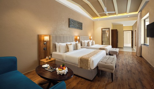 Family Studio, Multiple Beds