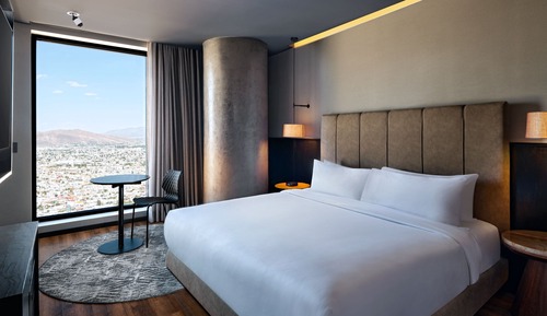 Standard Room, 1 King Bed, City View